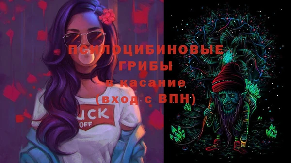твердый Алзамай