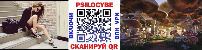 darknet наркотические препараты  Балахна  Галлюциногенные грибы GOLDEN TEACHER  купить наркотик 